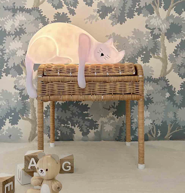 Lampe veilleuse Georges le chat de Rose in April