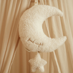 Lune musicale Newborn Naturals Little Dutch